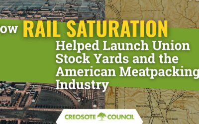 How Rail Saturation Helped Launch Union Stock Yards and the American Meatpacking Industry